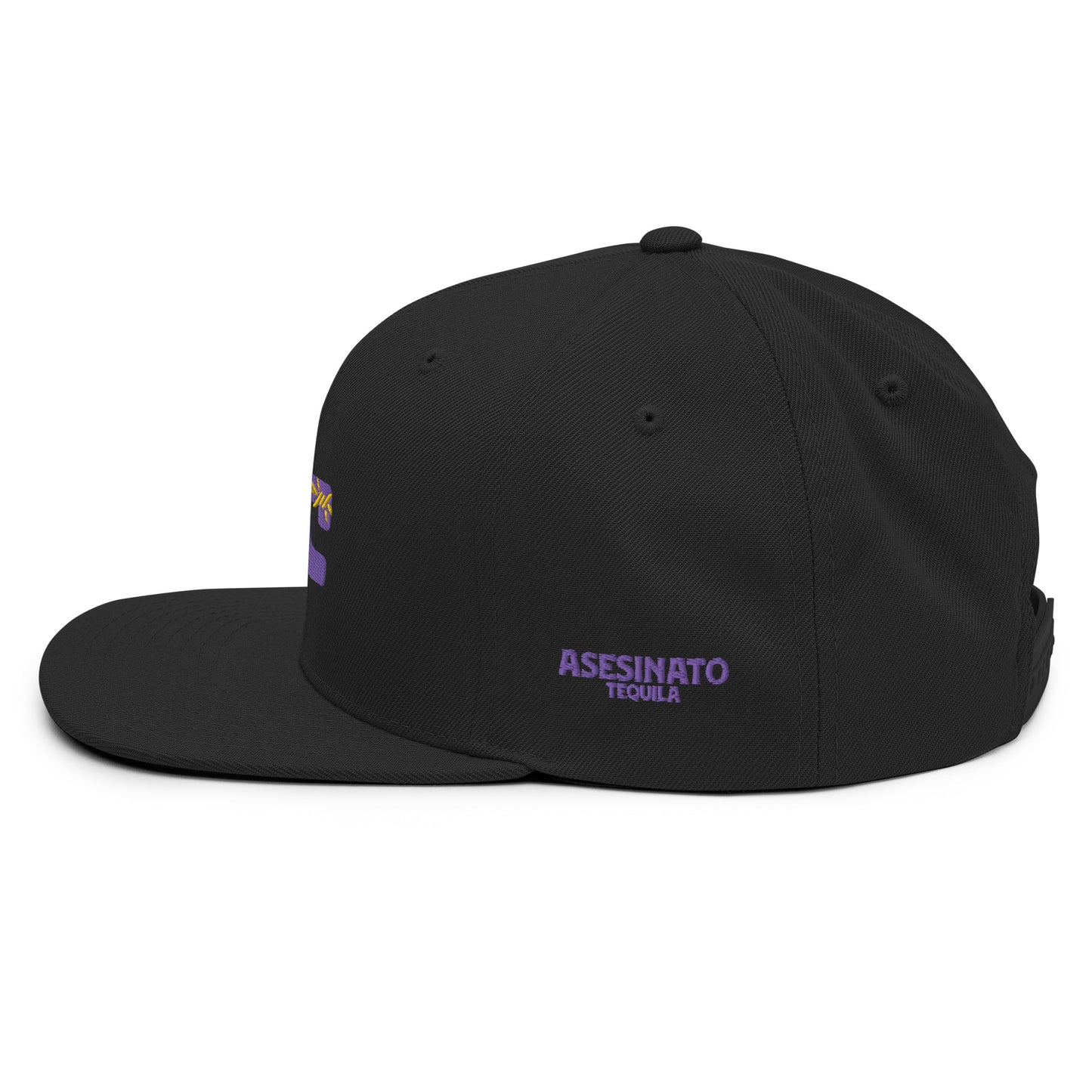 TIGERS AT Barbed Snapback Hat
