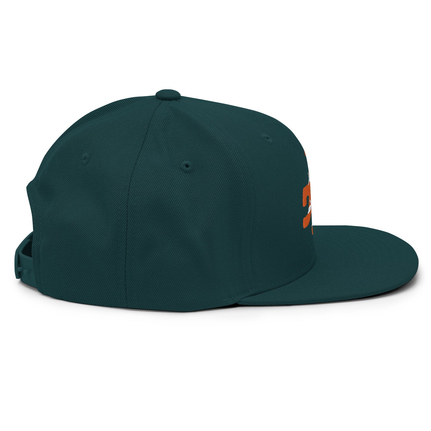 GATORS, HURRICANES, TIGERS AT barbed Snapback Hat