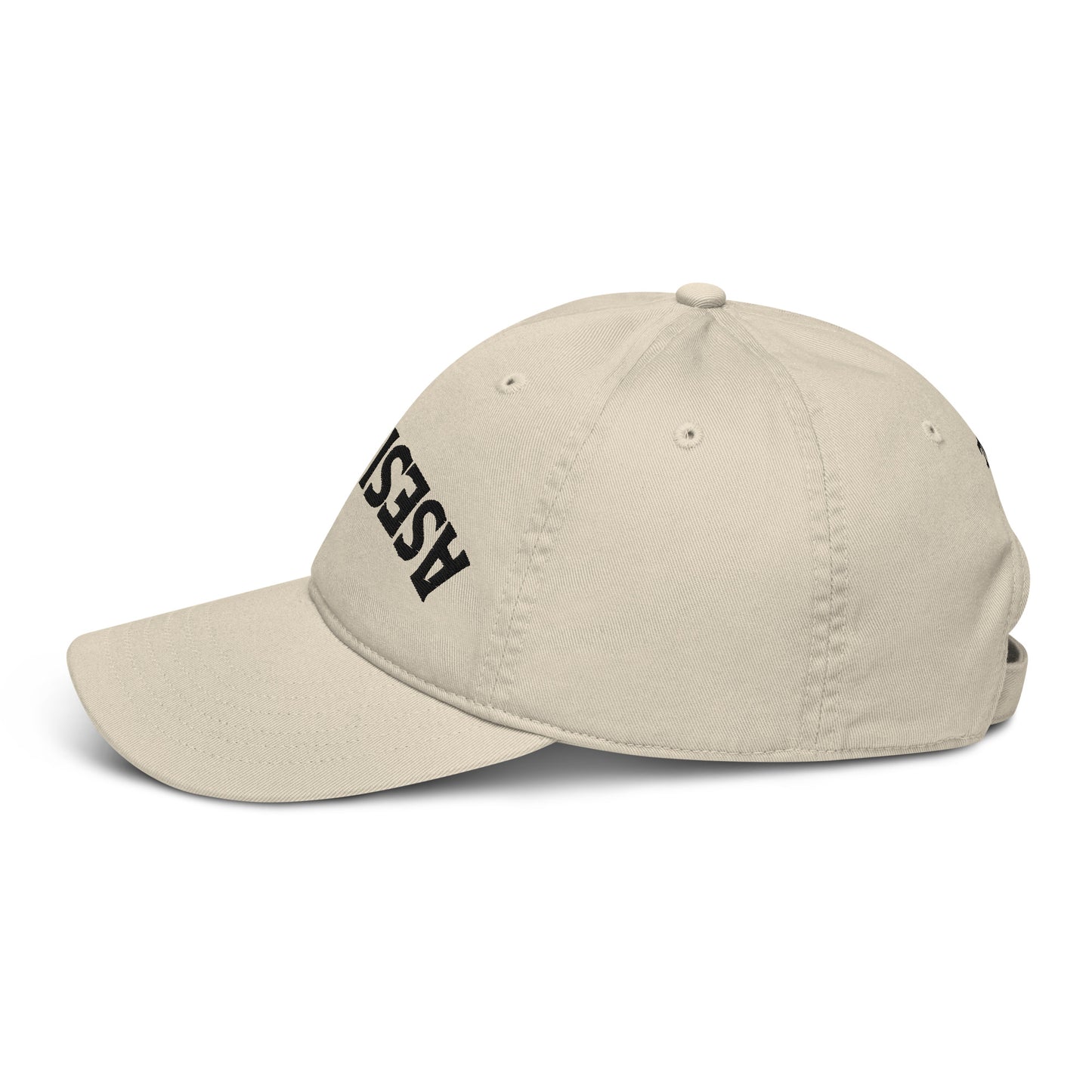 Trendy Organic dad hat