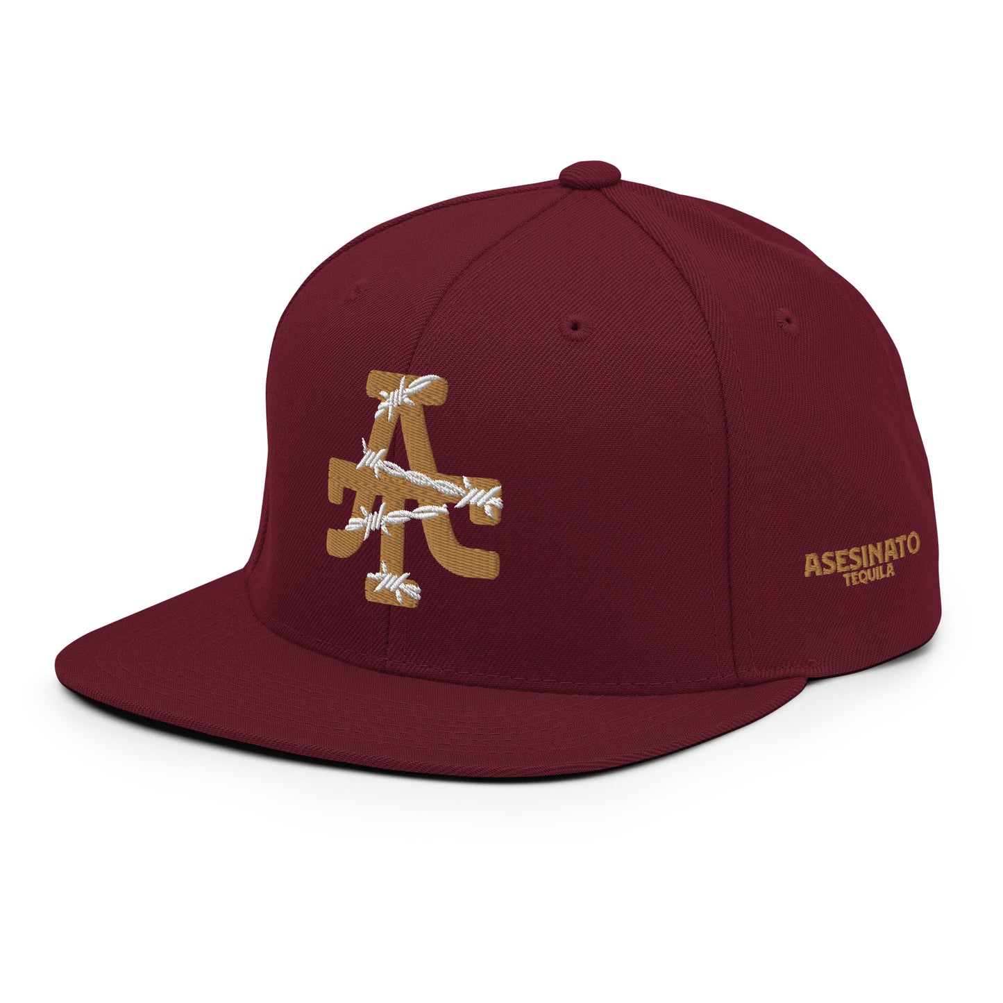 SEMINOLE AT barbed Snapback Hat