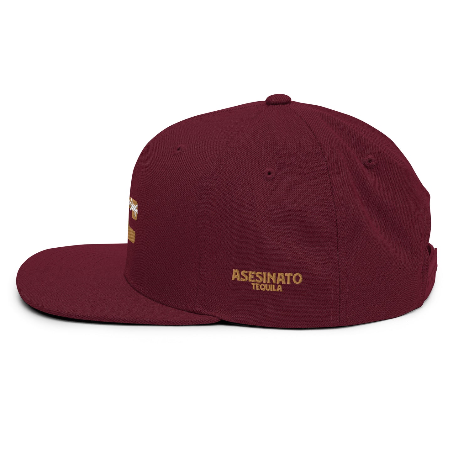 SEMINOLE AT barbed Snapback Hat